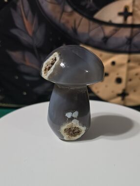 Orca Agate Mushroom Carving with Druzy